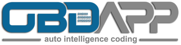 OBDAPP - auto intelligence coding 11